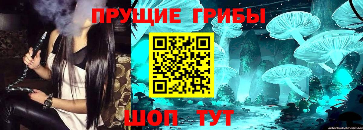 Галлюциногенные грибы Psilocybe  Галлюциногенные грибы GOLDEN TEACHER  Вход с VPN  Новоалександровск 