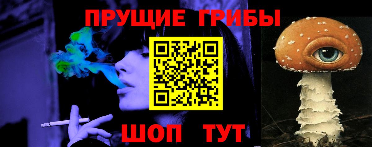Псилоцибиновые грибы мицелий Новоалександровск